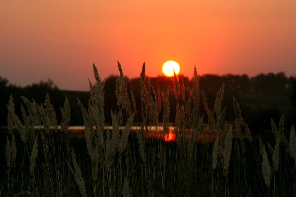 sunset with red sun in the evening