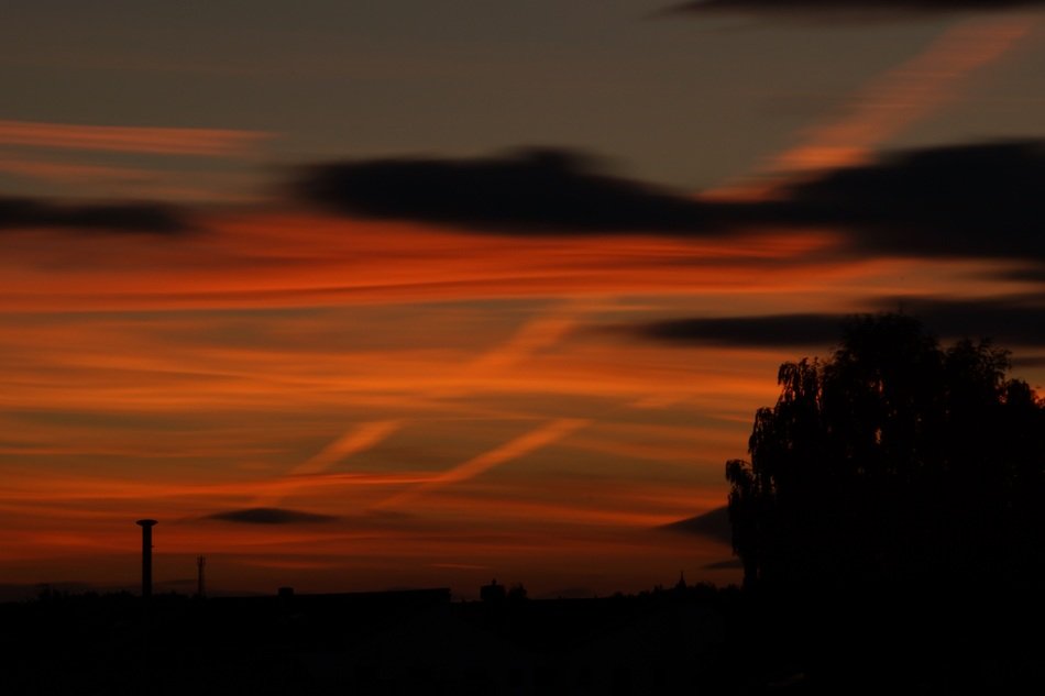 orange sunrise in field night scene