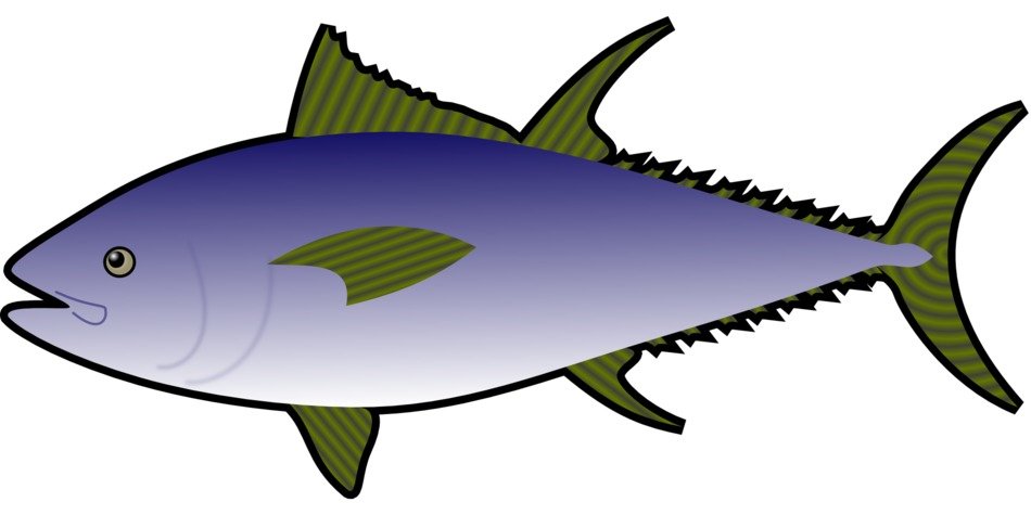 Sea fish clipart