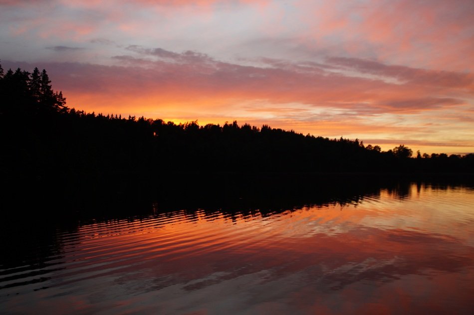 orange sky over the trees near the lake