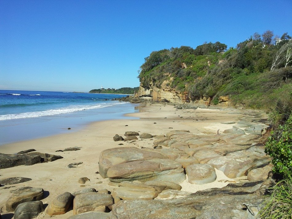 panoramic view of jenny dixon beach on a sunny day