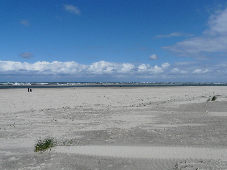 deserted beach on the North Sea
