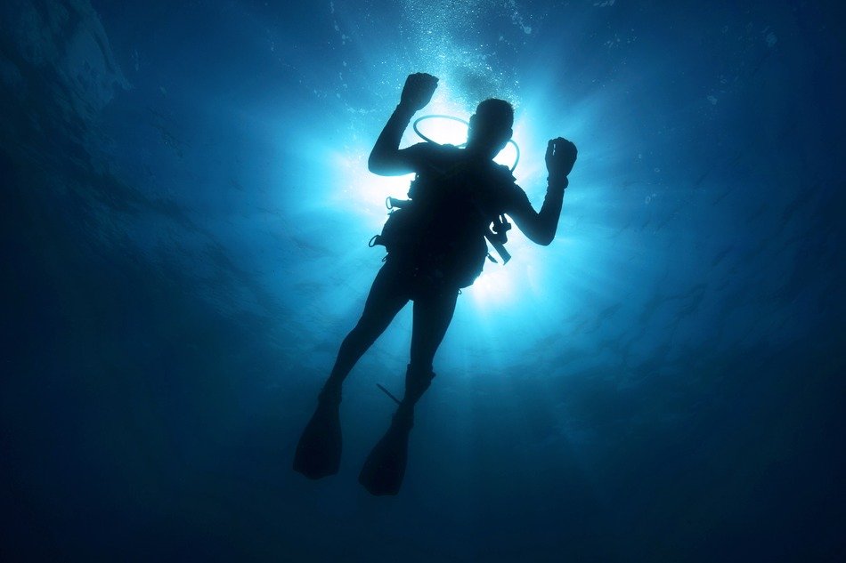 Silhouette of the diver in the water