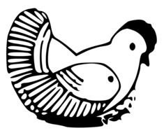 black and white picture of a chicken