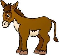 Donkey Animalgals