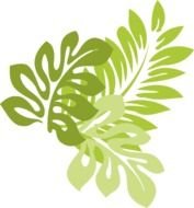 leaves of hibiscus for clipart