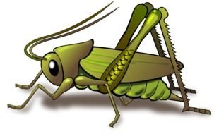 green grasshopper for a clip art