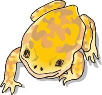 Yellow And Brown Frog At Clkercom Vector Online