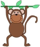 monkey sways on a branch