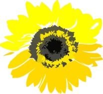 Yellow Sunflower At Clkercom Vector Online