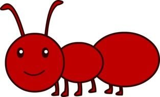 drawing of a red ant on a white background