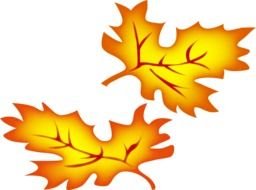 two Fall leaves