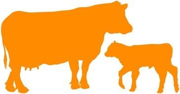 Cow And Calf Silhouette drawing