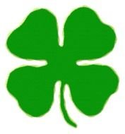 green clover on the black background