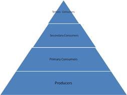 Energy Pyramid drawing