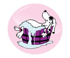 Pet Grooming Http wwwarfordablegroomingwebscom