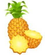 Pineapple Large drawing