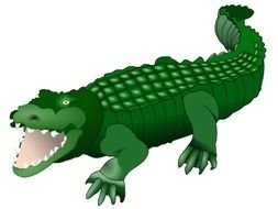 Free Microsoft Animal Alligator