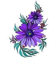 Zinnia Flower