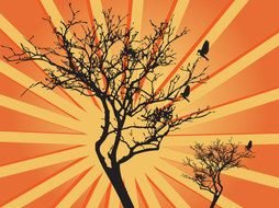 Trees and sunburst clipart