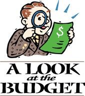 man looking at the budget