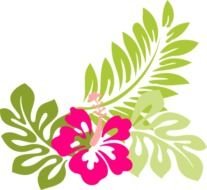 pattern with Hawaiian flowers