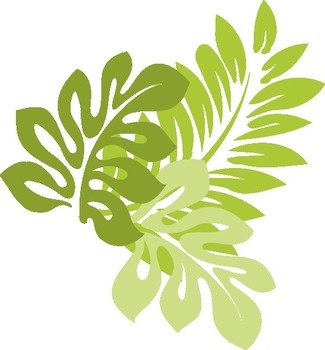 leaves of hibiscus for clipart