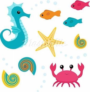 Cute Starfish Panda Free Images N2