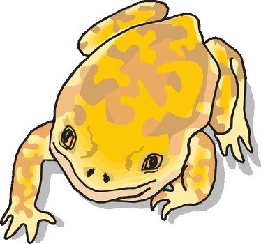 Yellow And Brown Frog At Clkercom Vector Online