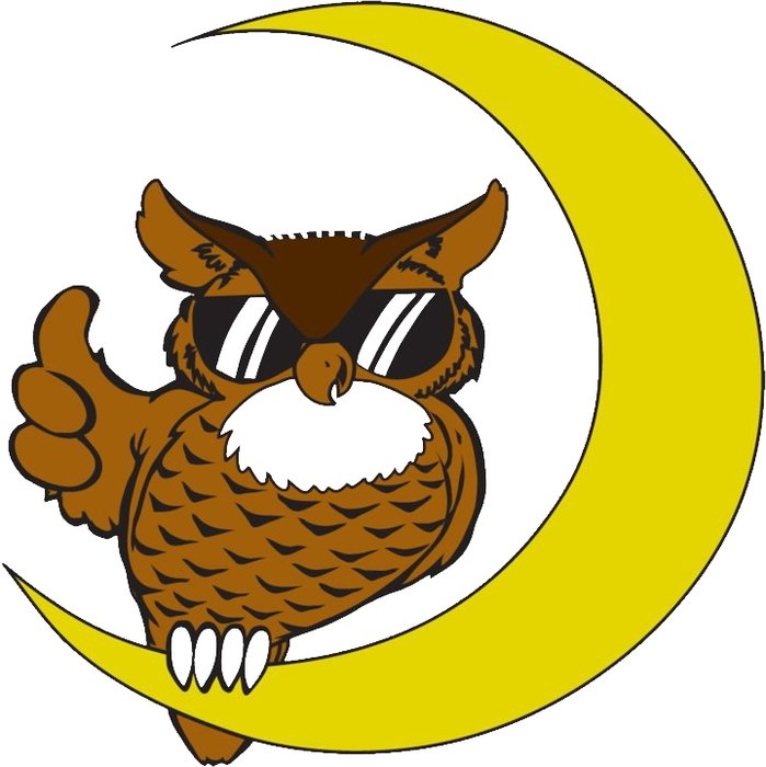 owl sitting on the moon