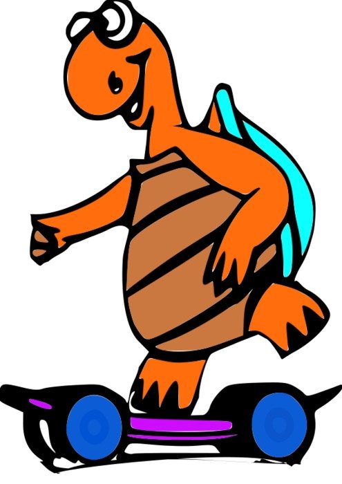 sketch of a turtle on a skateboard
