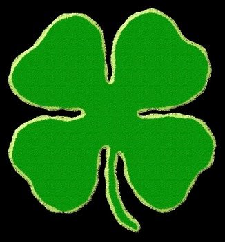 green clover on the black background
