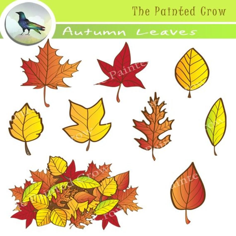 Add Some Fall Color With This Useful 18 Piece Autumn Leaves