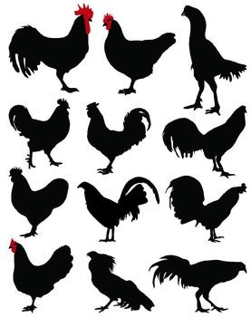 Chicken And Rooster Silhouette Animals & Nature Custom Vinyl Decals