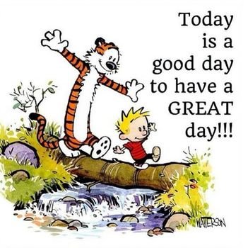 Calvin And Hobbes Quotes Pinterest
