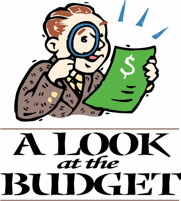 man looking at the budget