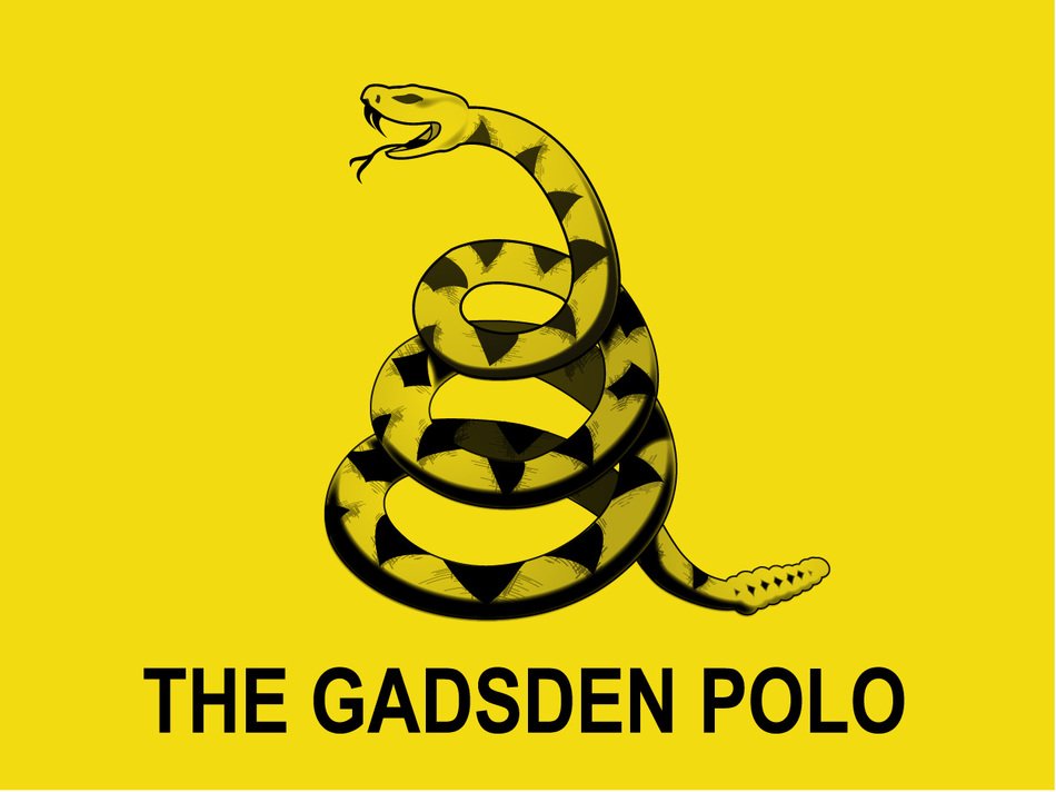 drawing of a snake with an inscription on a yellow background