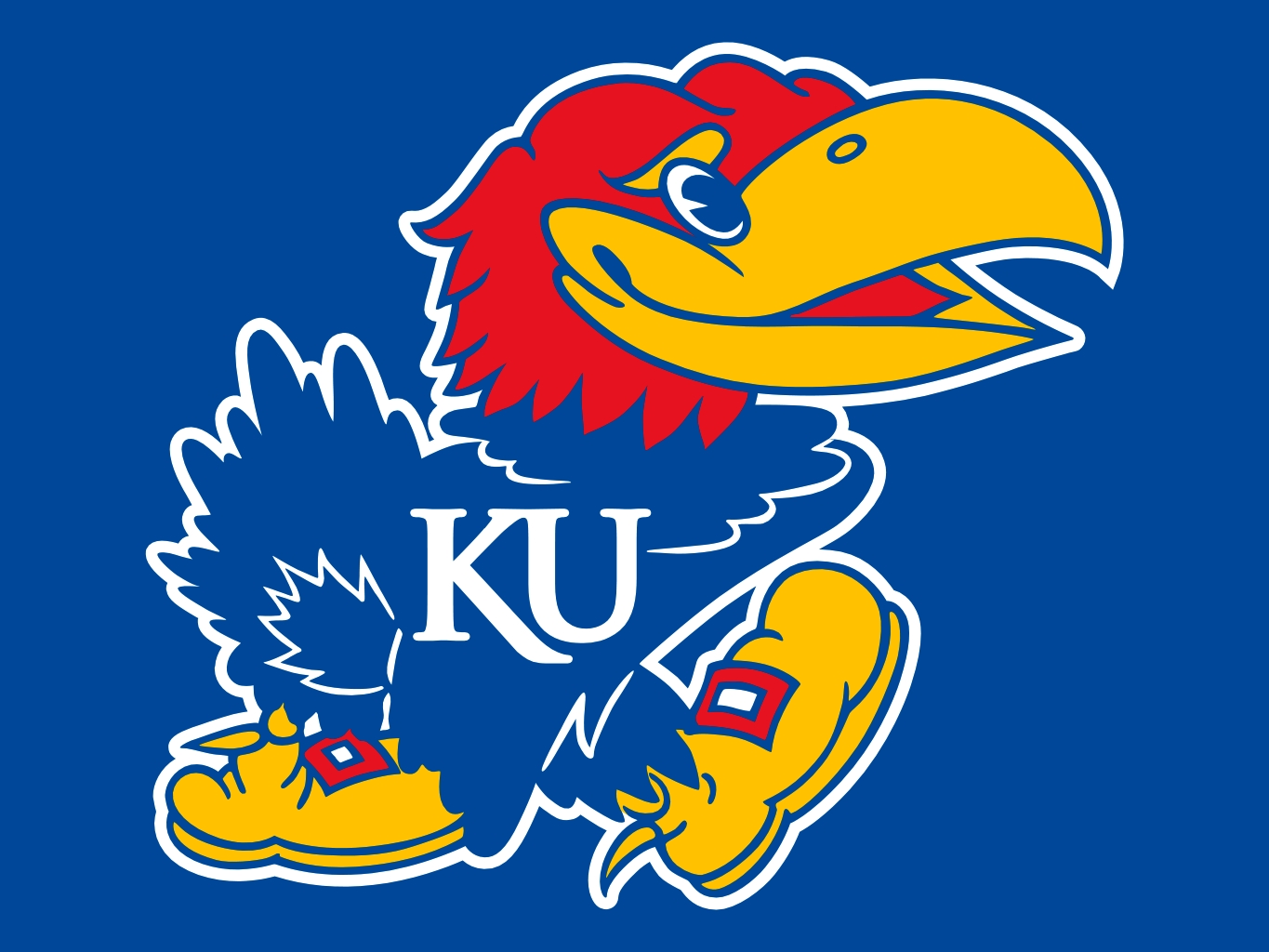 University of kansas mascot free image download