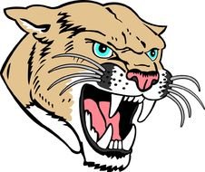 Cougar Head 2jpg
