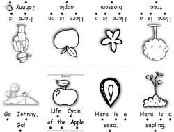 Tree Life Cycle drawing