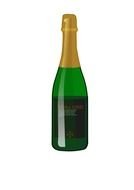 Winein green Bottle drawing