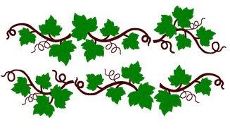 clipart of the Ivy branches