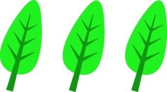 Leaves Logo drawing