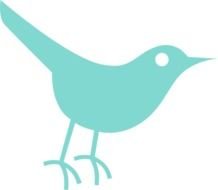 Robins Egg Twitter Bird At Clkercom Vector Online