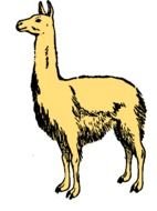 yellow llama for clipart