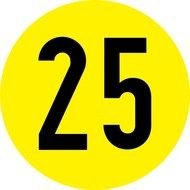 Number 25 drawing