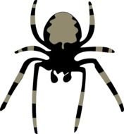 Spider Insect Arachnoid Animal Nature Fear Horror