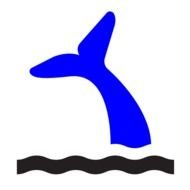 Blue Whale Tail Symbols Download Vector Online