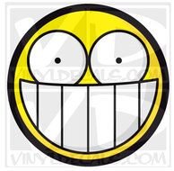 Big Stupid Smiley Face Giant