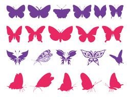 painted purple and pink butterflies